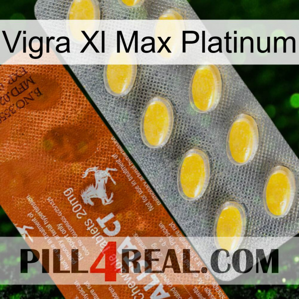 Vigra Xl Max Platinum 42.jpg